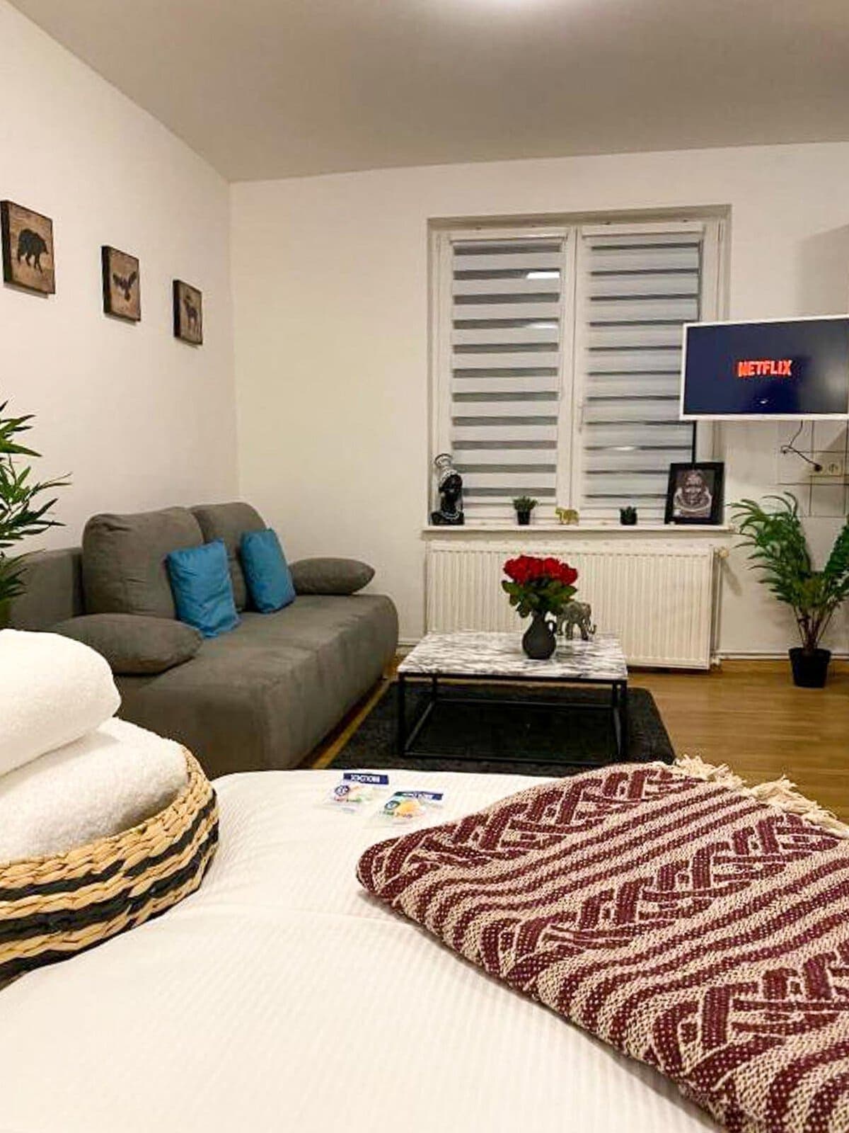 1-Zimmer Apartment – Bild 1
