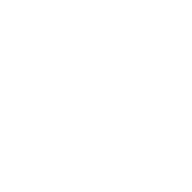 Logo Züblin – Partner von Elephant Monteurzimmer